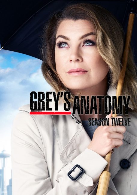 مسلسل Grey’s Anatomy الموسم 12 الحلقة 4 مترجمة