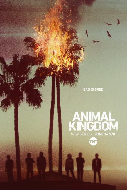 مسلسل Animal Kingdom الموسم الاول الحلقة 2 مترجمة